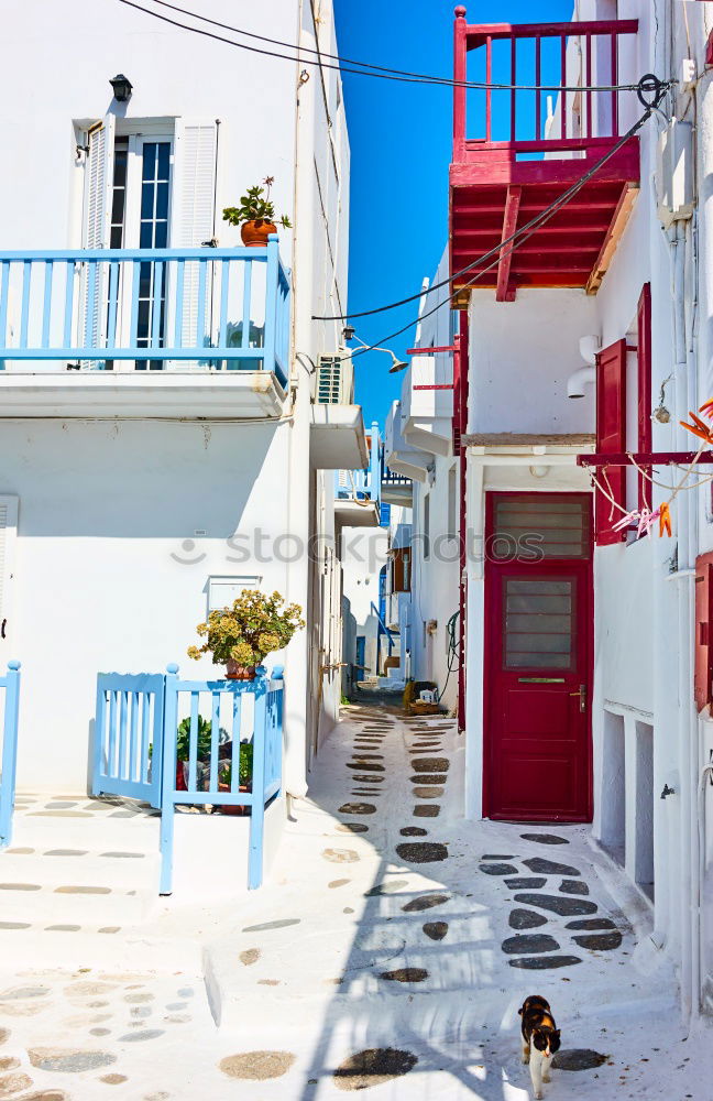 Similar – Image, Stock Photo Salvador da Bahia