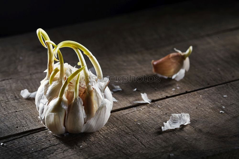 Similar – Image, Stock Photo Italian cheese burrata with fork and knife