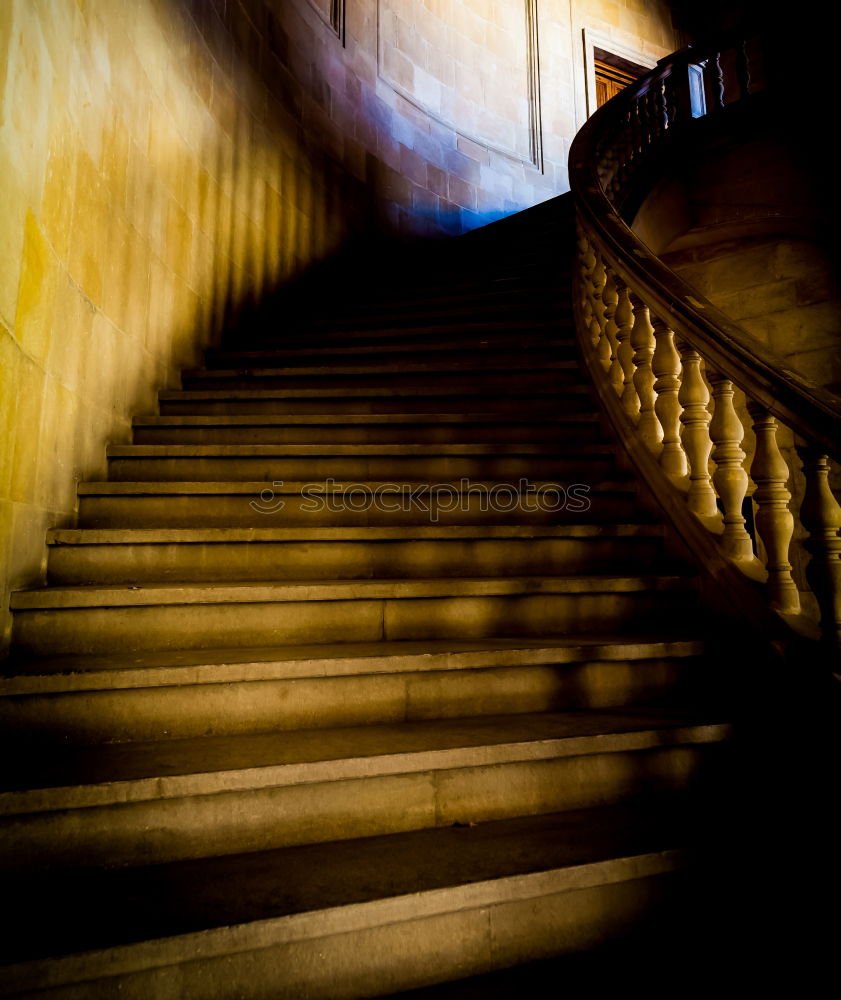 Similar – Image, Stock Photo Genoa_Streets Town