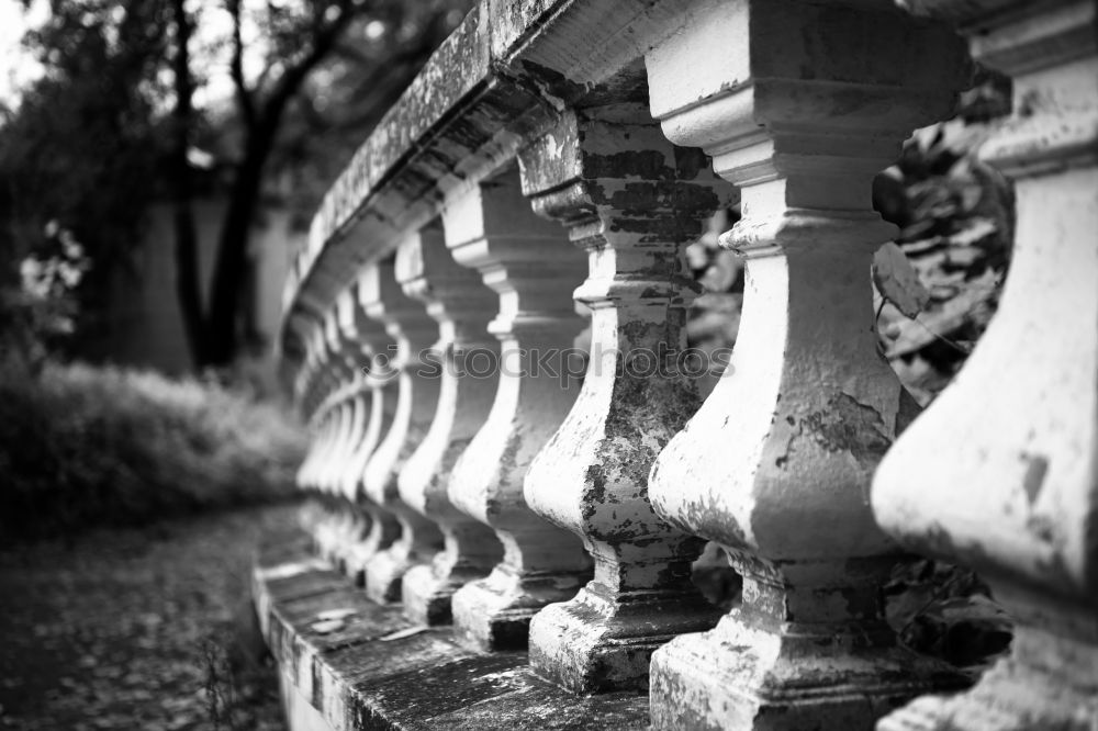 Jewish Cemetery, Prague