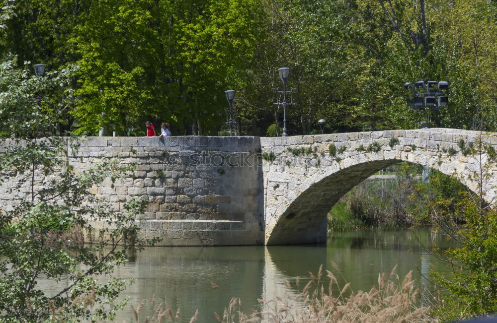 Similar – Image, Stock Photo Seine its banks Bridge