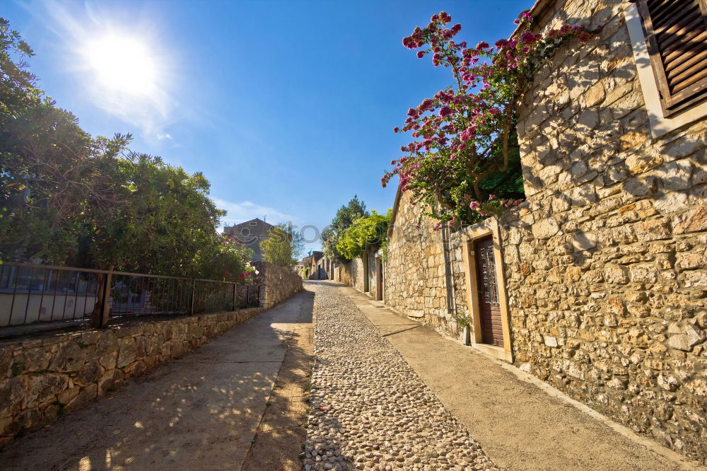 Image, Stock Photo Medieval village Monsaraz in the Alentejo Portugal