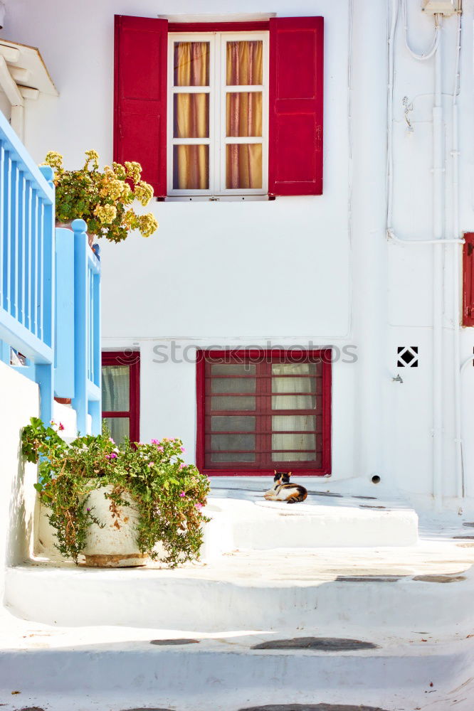 Similar – Image, Stock Photo Salvador da Bahia