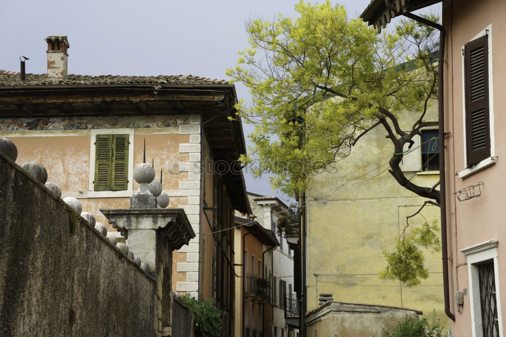 Similar – Beautiful street view of Rome, Italy