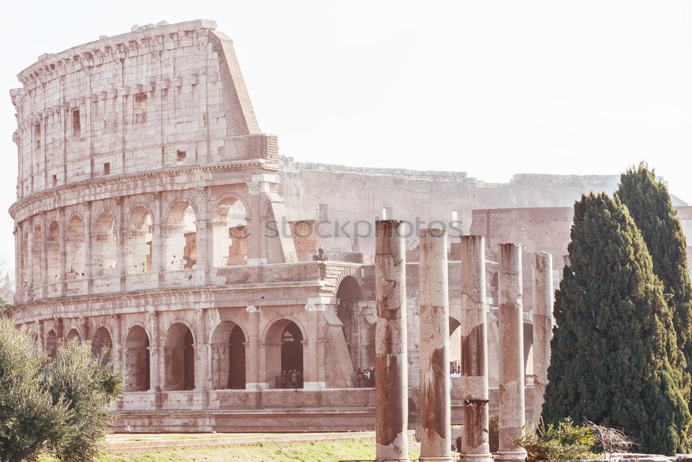 Similar – Image, Stock Photo Colosseum close-up detail, Rome, Italy