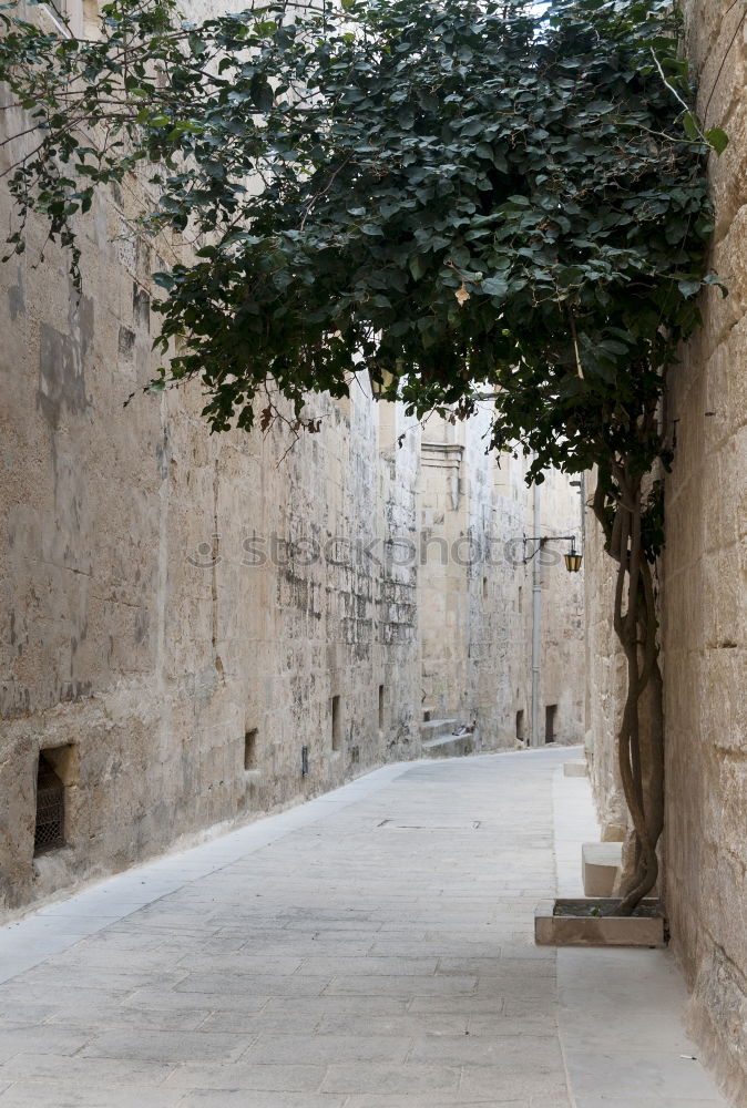 Similar – Hassid in Jerusalem Israel