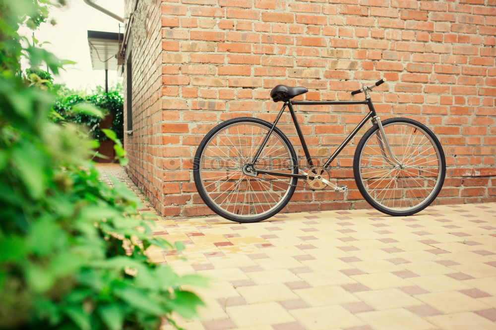 Similar – Eierfeile Haus Fahrrad