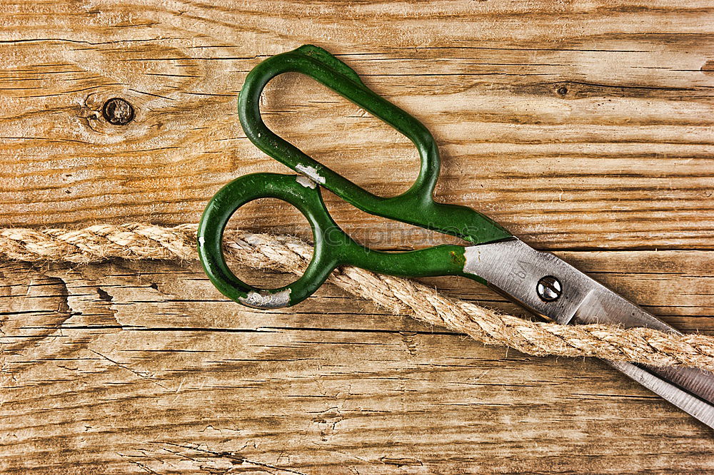 Similar – Image, Stock Photo Tools of a tanner for working with leather
