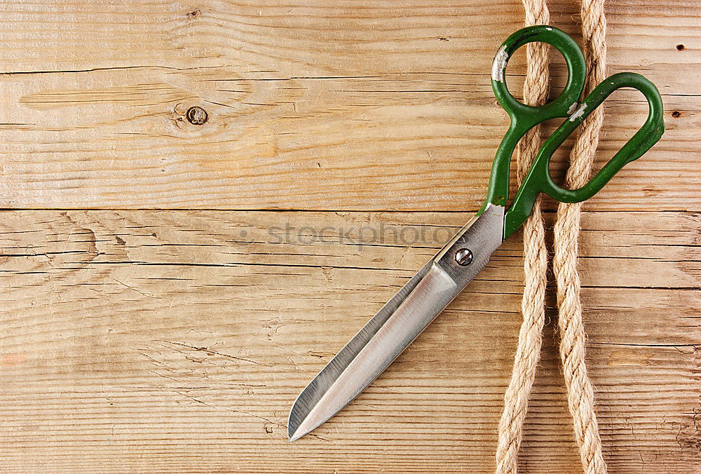 Similar – Image, Stock Photo Tools of a tanner for working with leather