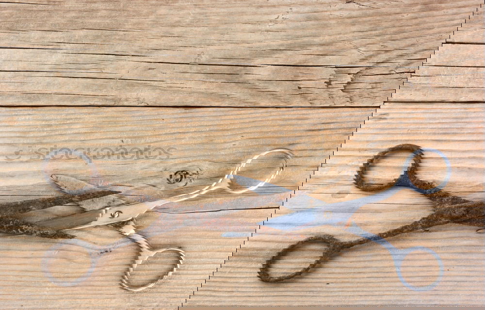 Similar – Image, Stock Photo Tools of a tanner for working with leather