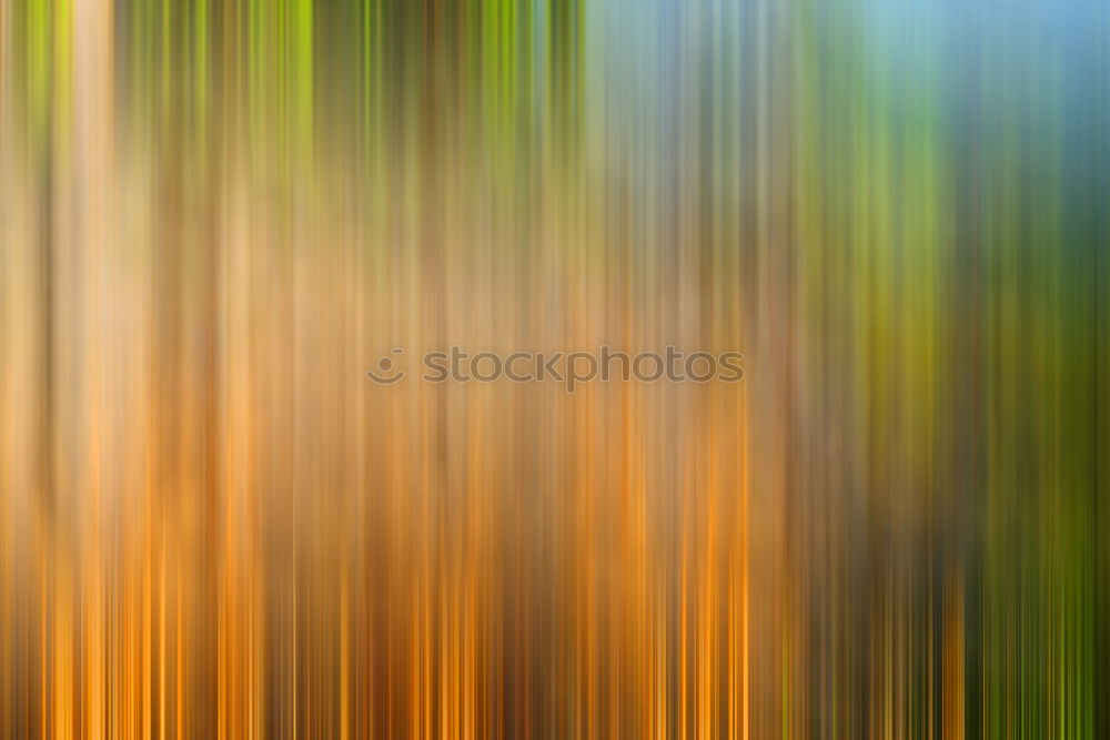 Similar – Image, Stock Photo In the forest II