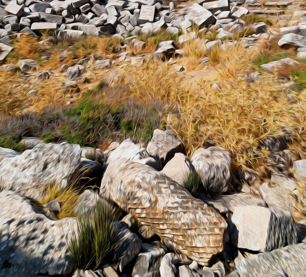 Similar – Image, Stock Photo Braiding on rocks