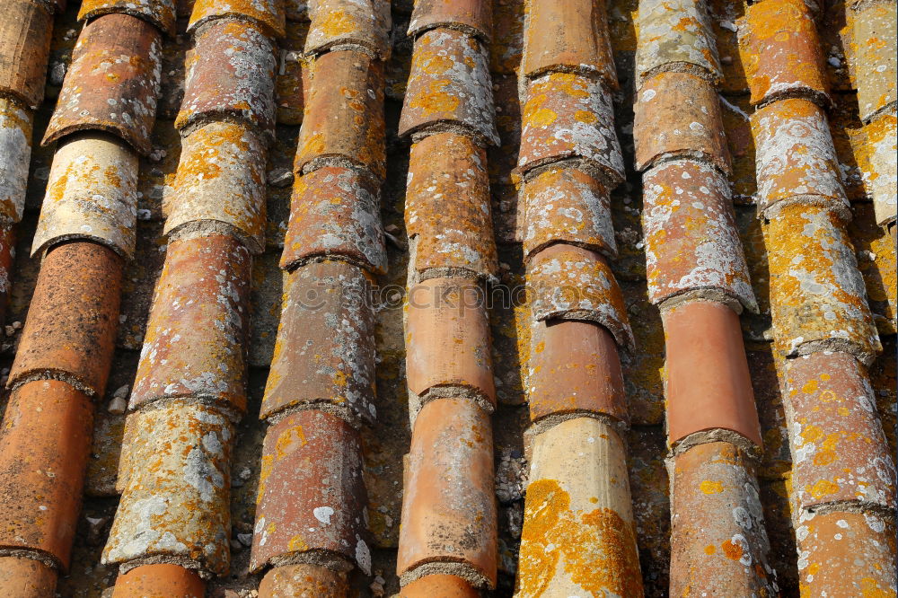 Similar – Close-up roof tile texture