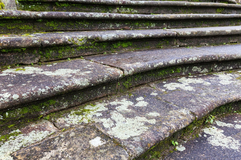 Similar – Green Mile Gebäude Ruine