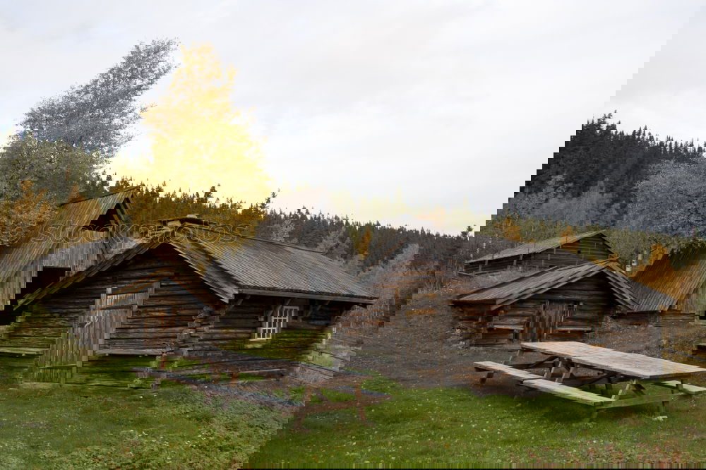 Similar – Image, Stock Photo corrugated-iron hut