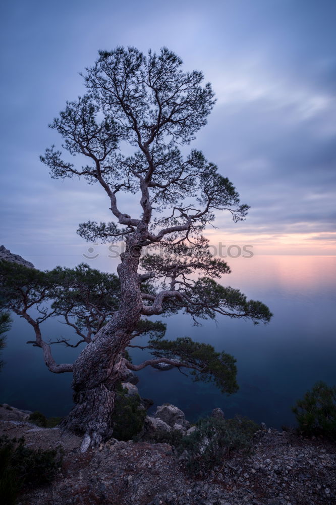 Similar – Image, Stock Photo Rocky coast Coast Sunset