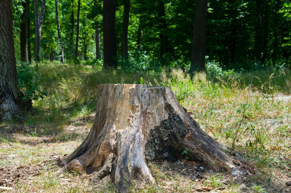 Similar – Foto Bild zufluchtsort wohnwagen