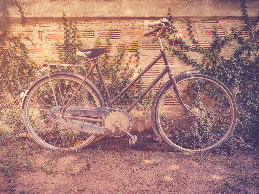 Similar – Image, Stock Photo motorbike Motorcycle