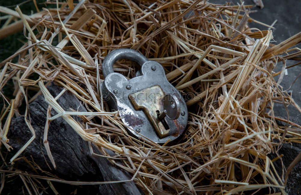 Similar – Image, Stock Photo Clean work Village Metal