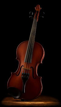 Similar – Image, Stock Photo Violin Black Background