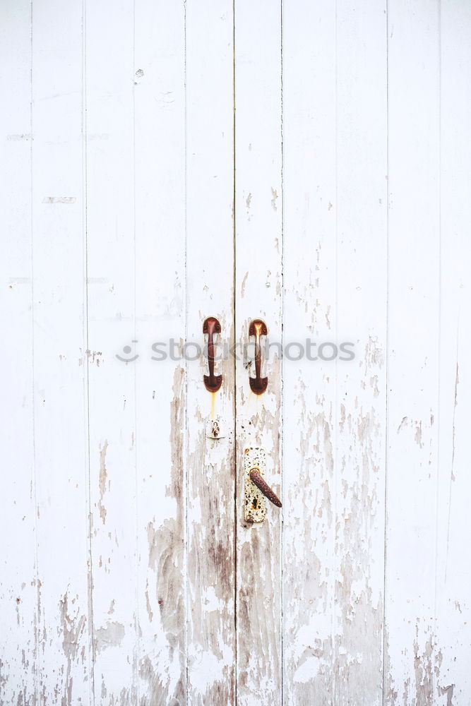 Wall, peeling off the paint in an old house | lost place