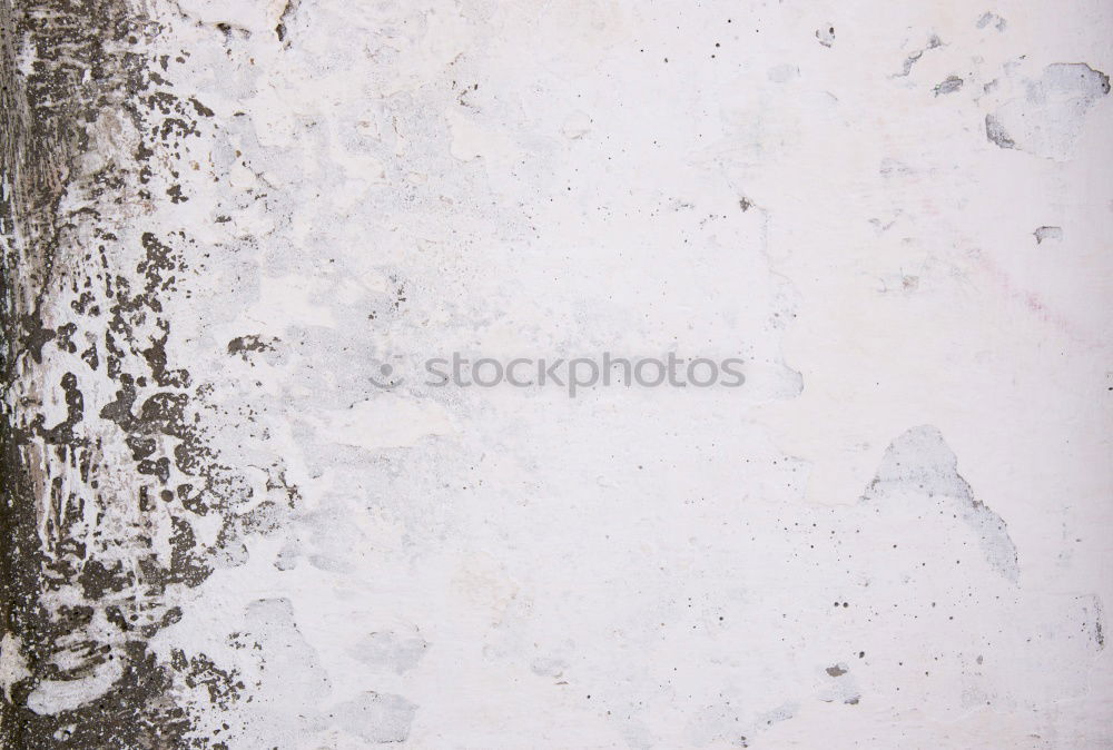 Similar – Image, Stock Photo Zwiegespalten l Cologne