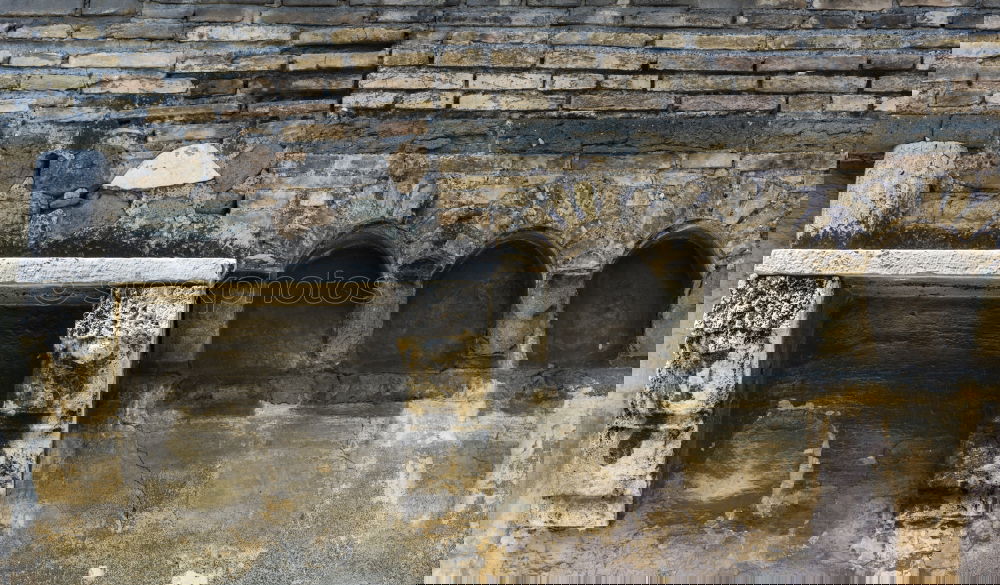 Similar – Foto Bild suchbild oder die katze auf dem (heißen blech)dach