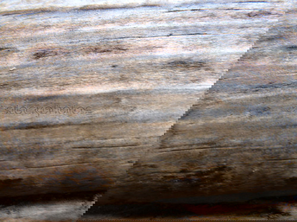 Similar – Foto Bild Archaia Handwerk alt