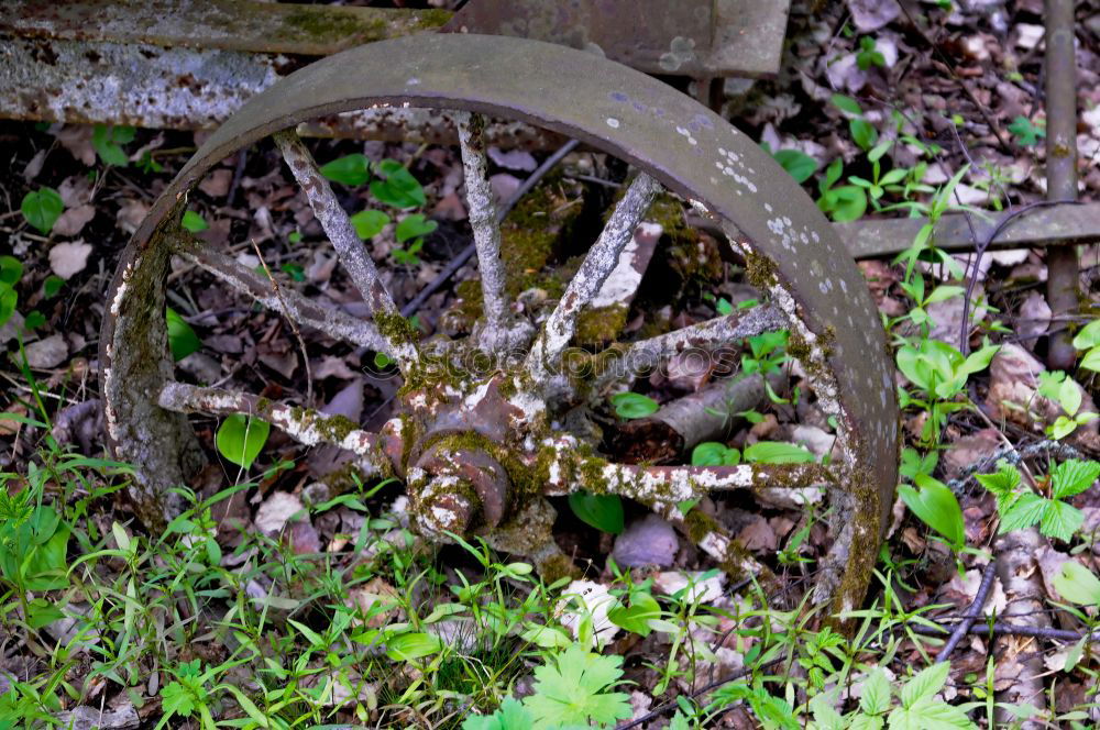 Similar – Image, Stock Photo hydrant Nature Water