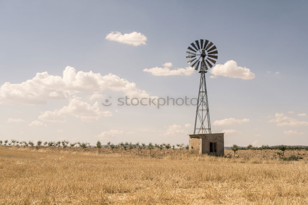 Similar – Image, Stock Photo Cuban Prairie