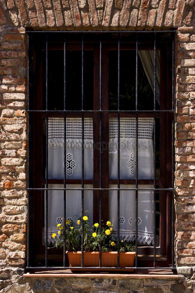 Similar – Image, Stock Photo always on the wall long