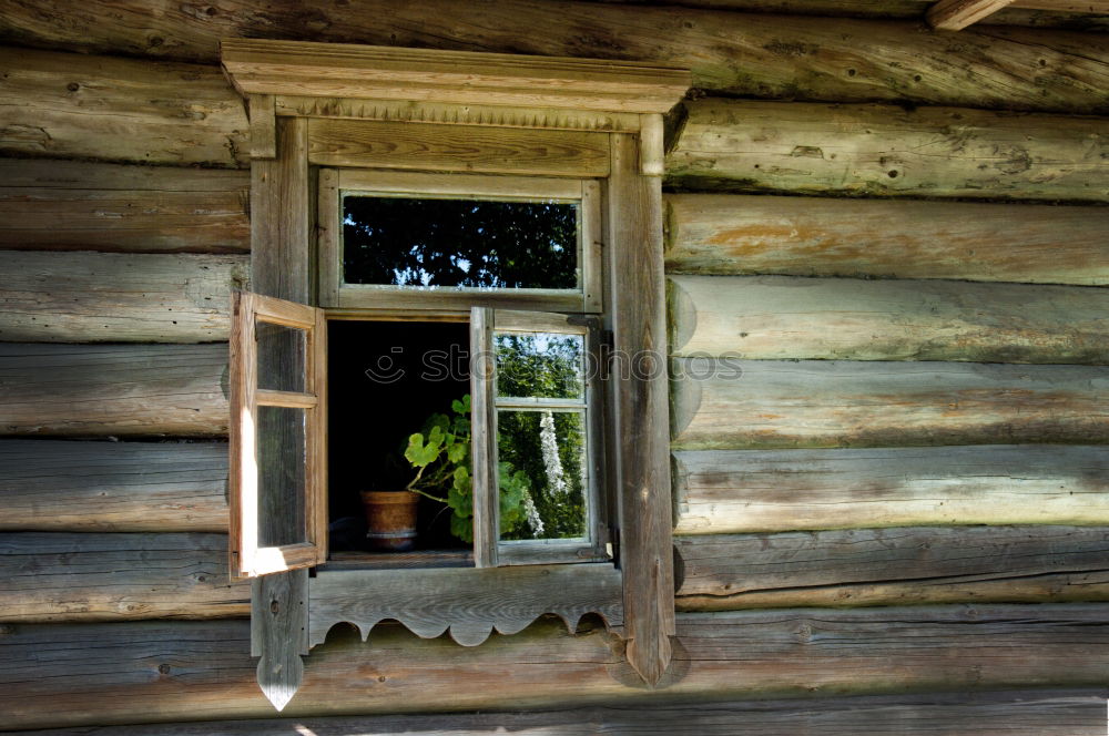 Similar – grünbraun Moos Wiese Hütte