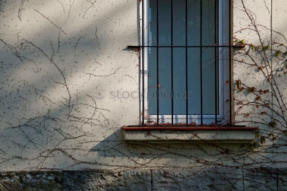 Similar – Closed. Earth Gate Door