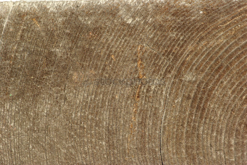 Similar – Image, Stock Photo wooden surface Grain