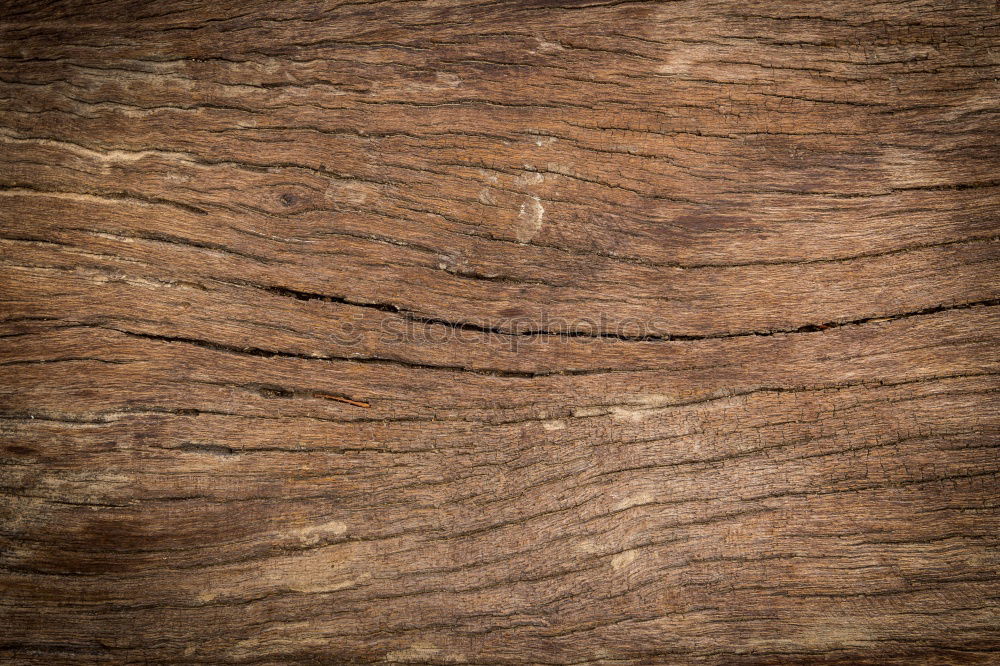 Similar – Image, Stock Photo wooden surface Grain