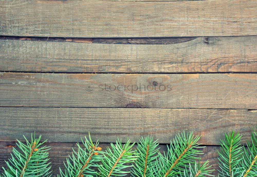 Similar – Rosemary twigs on wood