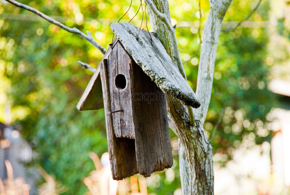 Similar – outback Mailbox Outback