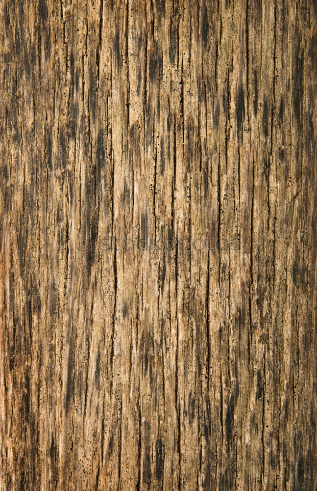 Similar – Image, Stock Photo wooden surface Grain