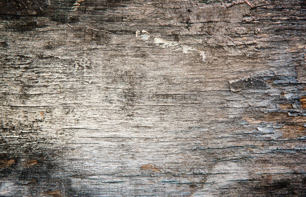 Similar – Image, Stock Photo Wood with history