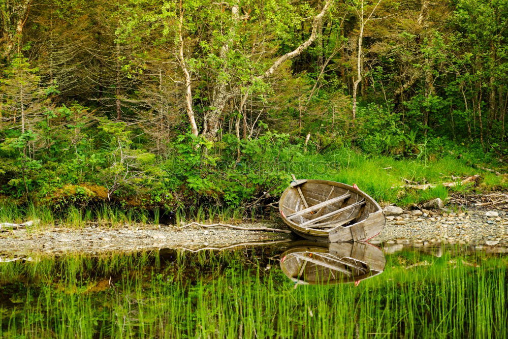 Similar – forest pond Relaxation