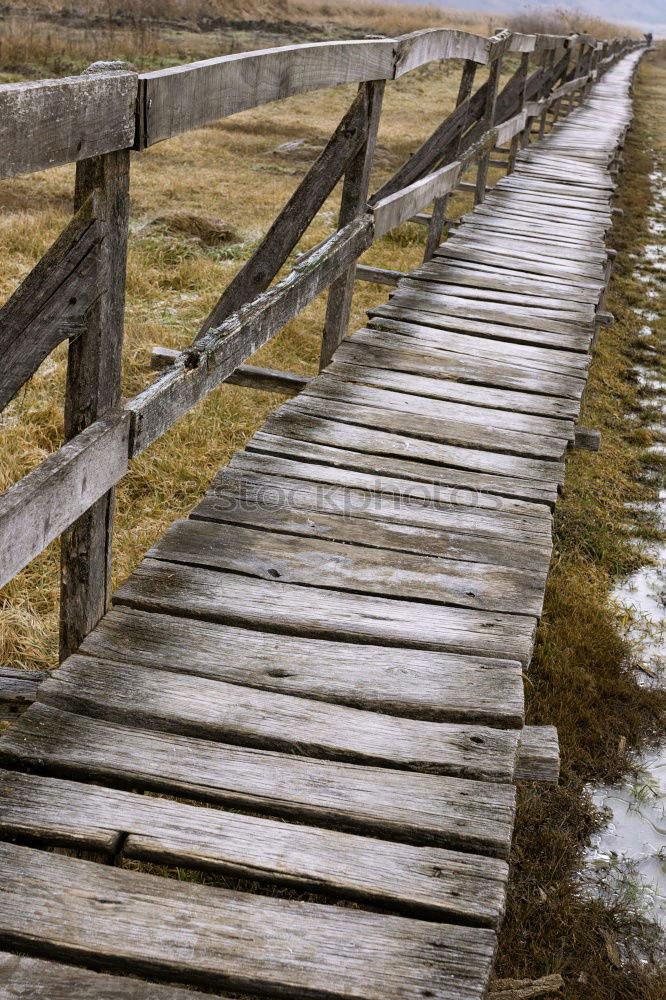 Similar – Foto Bild Der Weg ist das Ziel Holz