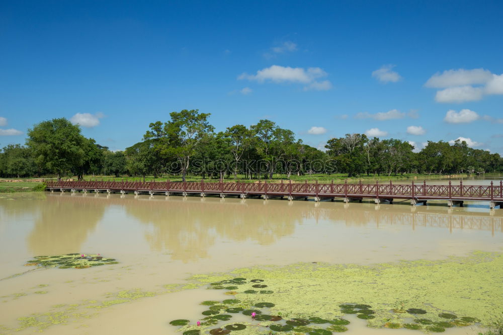 Similar – Kenya Crocodile River