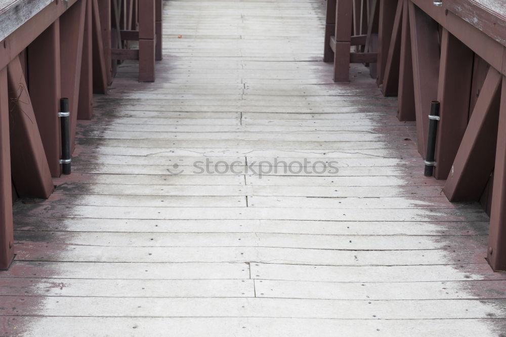 Similar – Image, Stock Photo out on the beach