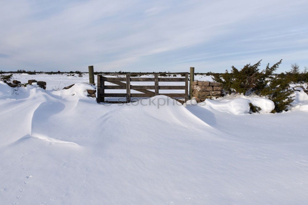 Similar – Image, Stock Photo Man jogging through meadow pathway during heavy snowing