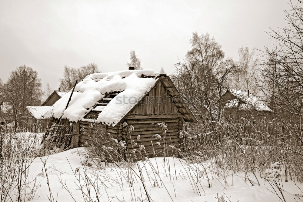 Similar – Strict winter in the Black Forest