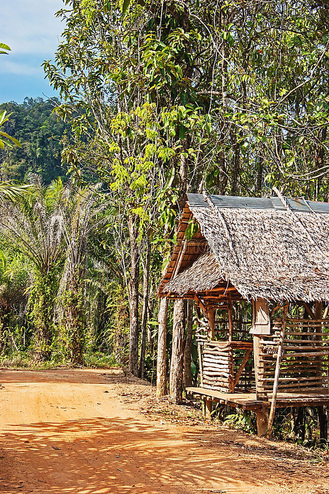 Similar – Image, Stock Photo Small wooden house with straw roof