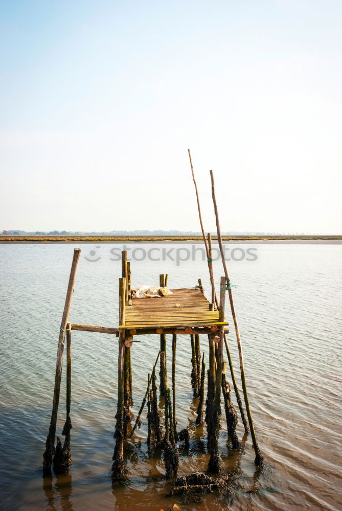 Image, Stock Photo divine leaders Environment