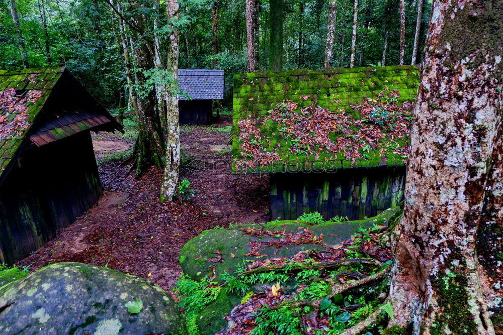 Similar – Foto Bild Hütte im Wald mystisch