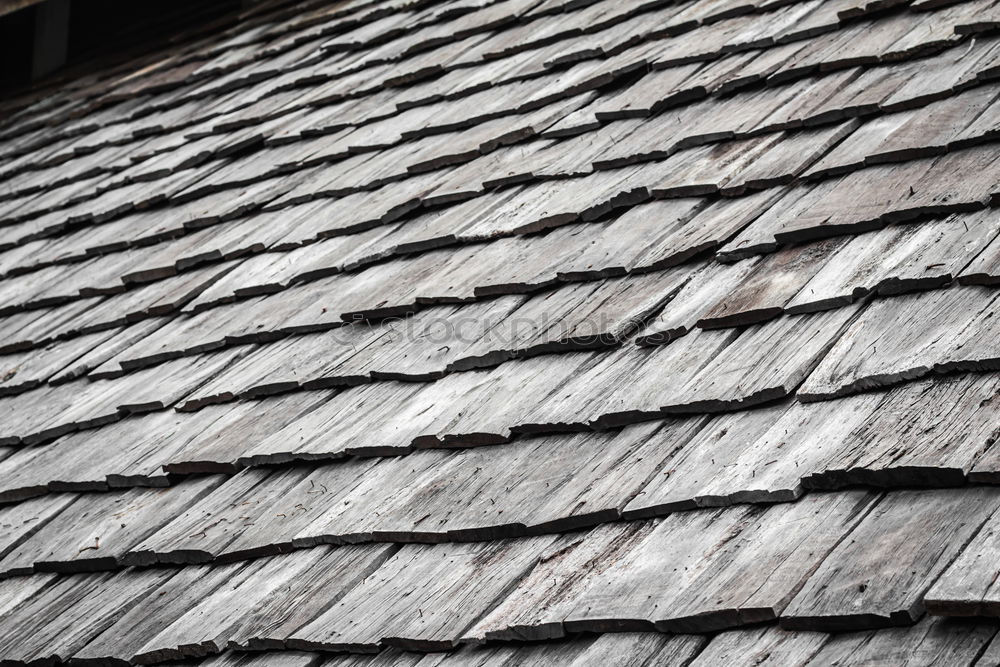 Similar – Roofs, roofs, gables, old town of Quedlinburg