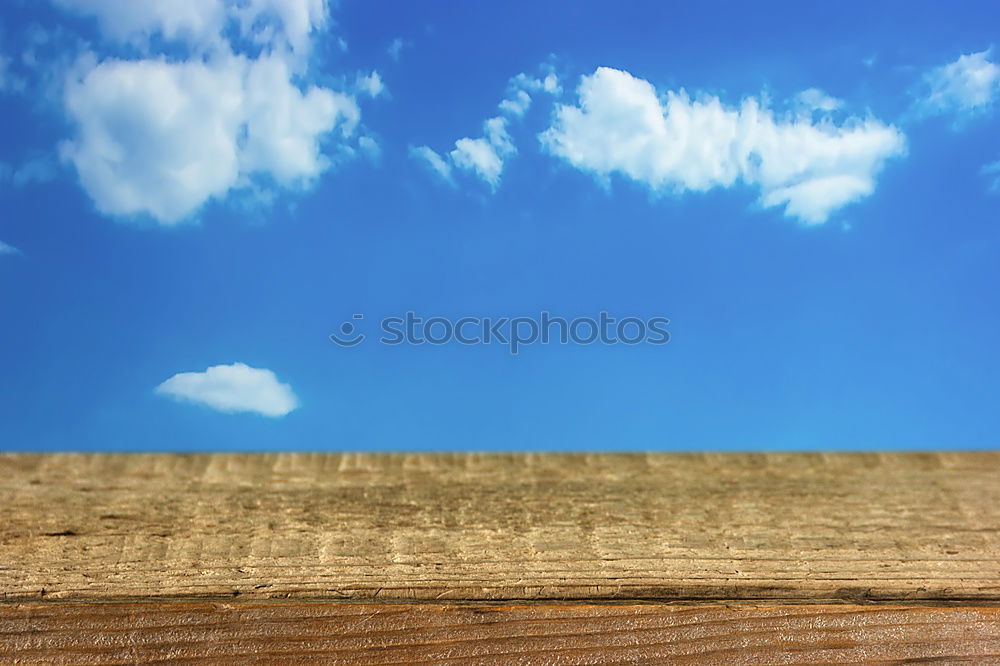 Similar – 2:1 für die Blauen Sommer